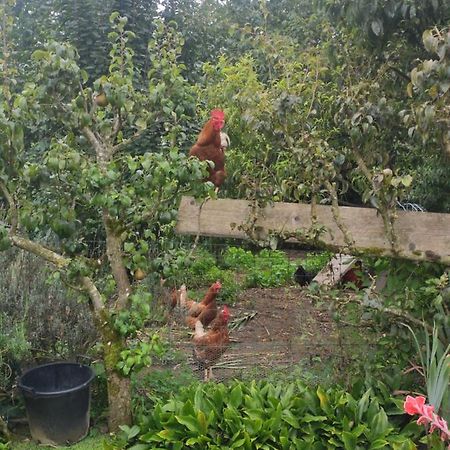 Bienvenue Chez Joelle Et Andre Au 207 Bed & Breakfast Balaze Bagian luar foto