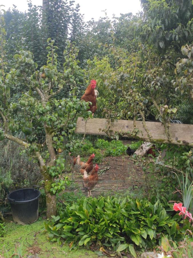 Bienvenue Chez Joelle Et Andre Au 207 Bed & Breakfast Balaze Bagian luar foto