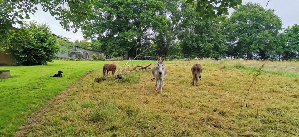 Bienvenue Chez Joelle Et Andre Au 207 Bed & Breakfast Balaze Bagian luar foto